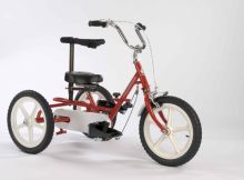 Triaid Terrier, Special Needs Tricycle